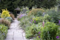 Paved path between cottage garden borders with Libertia grandiflora, Allium 'Purple Sensation' and Forget Me Nots.  Euphorbia mellifera, Honey Spurge behind.