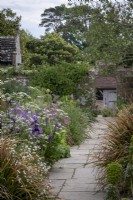 Paved path between cottage garden borders with Libertia grandiflora, Anthriscus sylvestris 'Ravenswing' and self seeded Aquilegia