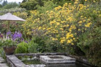 Raised square stone pond backed with Azaleas in summery cottage garden border