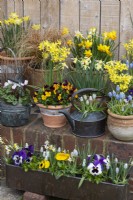 A container display arranged on wall and table, with pots and copper kettles of cyclamen, grape hyacinths, small daffodils, violas and rust-coloured grasses.