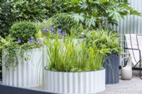 A wide, shallow corrugated steel container makes a miniature water feature, planted with aquatic grasses and pickerel weed.