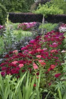 Kitchen garden with cutting flowers at Goldstone Hall Hotel, Shropshire - June