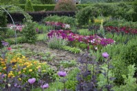 Vegetable garden with Dianthus and Calendula at Goldstone Hall Hotel, Shropshire - June