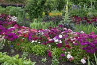The cutting garden at Goldstone Hall Hotel, Shropshire - June