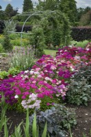 Cutting garden at Goldstone Hall Hotel, Shropshire - June