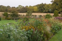An informal autumn border planted with an ebb and flow of clumps of Wallich milk parsley, tithonias, Verbena bonariensis, gaura, rudbeckias, bistort and eupatorium.