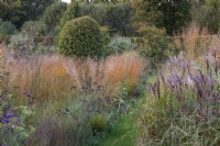 On left of path, a line of golden Molinia caerulea subsp. caerulea 'Heidebraut', Verbena bonariensis and fennel. On right of path, a clump of Miscanthus sinensis 'Malepartus'.