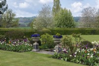 Curving borders planted with mixed tulips, clipped box, roses and peonies, separated by steps flanked with urns planted with blue pansies.