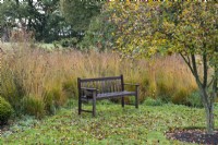 A bench is backed by a line of Molinia caerulea subsp. caerulea 'Heidebraut'.