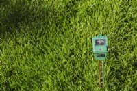 3 in 1 luminance, moisture and pH meter indicating soil condition of Poa pratensis  - Kentucky Bluegrass lawn is barely moist - September
