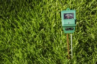 3 in 1 luminance, moisture and pH meter indicating soil condition of Poa pratensis  - Kentucky Bluegrass lawn is barely moist - September