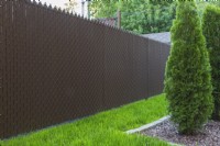 Brown chain-link fence with privacy slats and mulch border with Thuja occidentalis 'Degroot's Spire' - Cedar trees in residential backyard - September
