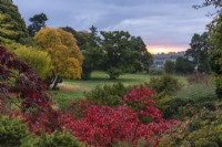 View at dawn from the main lawn, over red-leaved Acer japonicum 'Aconitifolium', towards an old oak and, to the left, Acer cappadocicum 'Aureum', a golden Cappadocian maple, and Ulmus americana 'Princeton'.