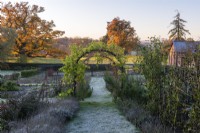 The kitchen garden in late autumn, a path dusted in frost leading down a lavender walk and beneath an arch bearing a vine. In the parkland beyond, dawn sun lights up the great oaks.