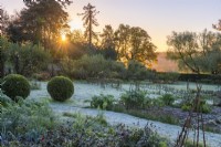 The kitchen garden in late autumn, dusted in frost, and backlit by dawn sun. Vegetable beds of herbs, leeks and dahlias, with apple step-over cordons beyond. Box balls mark a grassy path leading to a line of ancient apple trees.