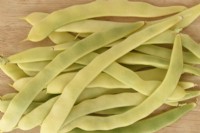 Phaseolus vulgaris  'Golden Gate'  Picked climbing French beans  July