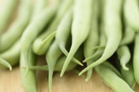 Phaseolus vulgaris  'Mascotte'  Picked dwarf French beans  August

