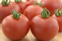 Solanum lycopersicum  'Ailsa Craig'  Tomato  Syn. Lycopersicon esculentum  Picked fruit  August

