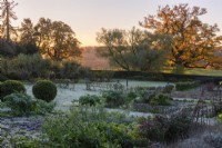 The kitchen garden in late autumn, dusted in frost. Vegetable bed with apple step-over cordons. In the parkland beyond, a great English oak, Quercus robor, illuminated by dawn sun.