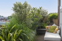 A balcony day bed is edged in planters of ornamental grasses, Pittosporum tenuifolium 'Silver Queen', loquat and olive trees.