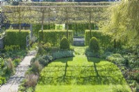 Aerial view of garden on a sunlit morning in spring with pleached field maple trees - Acer campestre- coming into leaf and casting symmetrical shadows on lawn. Internal hedges used to divide the garden into sections.April
