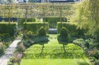 Aerial view of garden on a sunlit morning in spring with pleached field maple trees - Acer campestre- coming into leaf and casting symmetrical shadows on lawn. Internal hedges used to divide the garden into sections.April