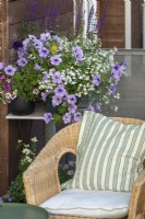 A container is planted with purple petunias and salvias, interspersed with white lobelia.