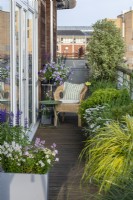 A narrow balcony is edged in planters of mostly evergreen shrubs and trees, with pops of colour from annuals and perennials.