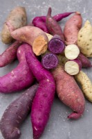 Collection of different sweet potatoes varieties on stone background