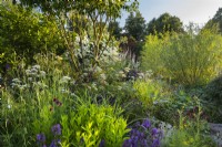 RHS Garden For A Green Future. Designed by Jamie Butterworth. RHS Hampton Court Palace Garden Festival Show, July 2021