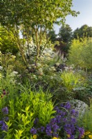 RHS Garden For A Green Future. Designed by Jamie Butterworth. RHS Hampton Court Palace Garden Festival Show, July 2021