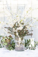Blackthorn blossom and hebe display