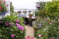 Container gardening on deck of houseboat