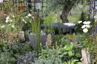 'From Hippocrates to Vaccines' at BBC Gardener's World Live 2021 - pond in a large pot set amongst mixed planting