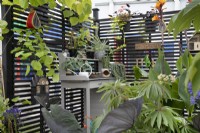'Garden Envy' at BBC Gardener's World Live 2021 - potting bench and insect hotels bordered by mixed exotic planting 