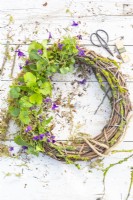 Viola and lichen wreath lying on a wooden surface