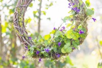 Viola and lichen wreath hanging