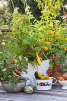 Container grown tomatoes and courgettes on roof terrace.