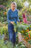 Woman tearing away outer leaves of harvested savoy cabbage.