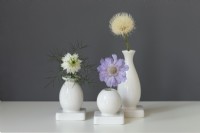 Single summer flowers in bud vases against grey wall