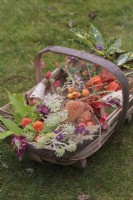 Sussex Trug of Autumn berries, seedheads, leaves and flowers on lawn