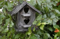 'Make Do and Mend' at BBC Gardener's World Live 2021 - hand made bird box 