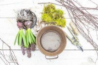 Sieve, moss, secateurs, string, feathers, birch twigs and hyacinths laid out on a wooden surface