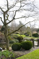 Overlooking the pond at John's Garden at Ashwood Nurseries - Kingswinford - Spring