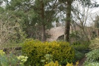 Canal bridge in John's Garden at Ashwood Nurseries - Kingswinford - Spring