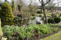 The pond in John's Garden at Ashwood Nurseries - Kingswinford - Spring