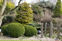 Slate pillars bordering the pond at John's Garden at Ashwood Nurseries - Kingswinford - Spring