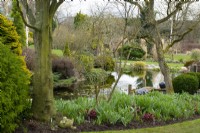 The pond in John's Garden at Ashwood Nurseries - Kingswinford - Spring