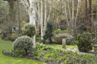 Spring border in John's Garden at Ashwood Nurseries - Kingswinford - Spring
