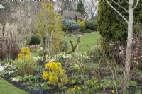 View through spring border in John's Garden at Ashwood Nurseries - Kingswinford - Spring